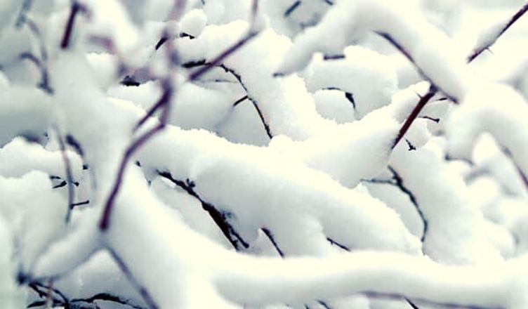 Լոռիի, Տավուշի, Սյունիքի նախալեռներում ձյուն է գալու