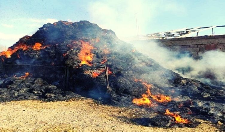 Հակկո գյուղում այրվել է անասնակեր